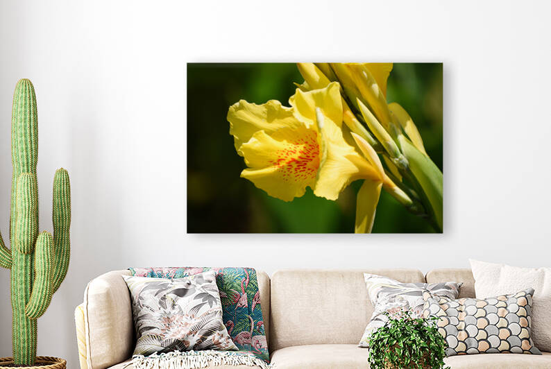 Flower 103 Reproduction