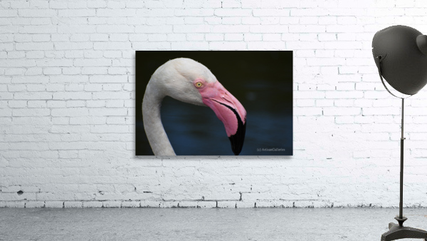 Flamingo 107 Wall Preview