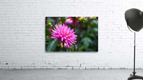 Flower 101 Wall Preview