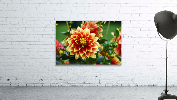 Flower 102 Wall Preview