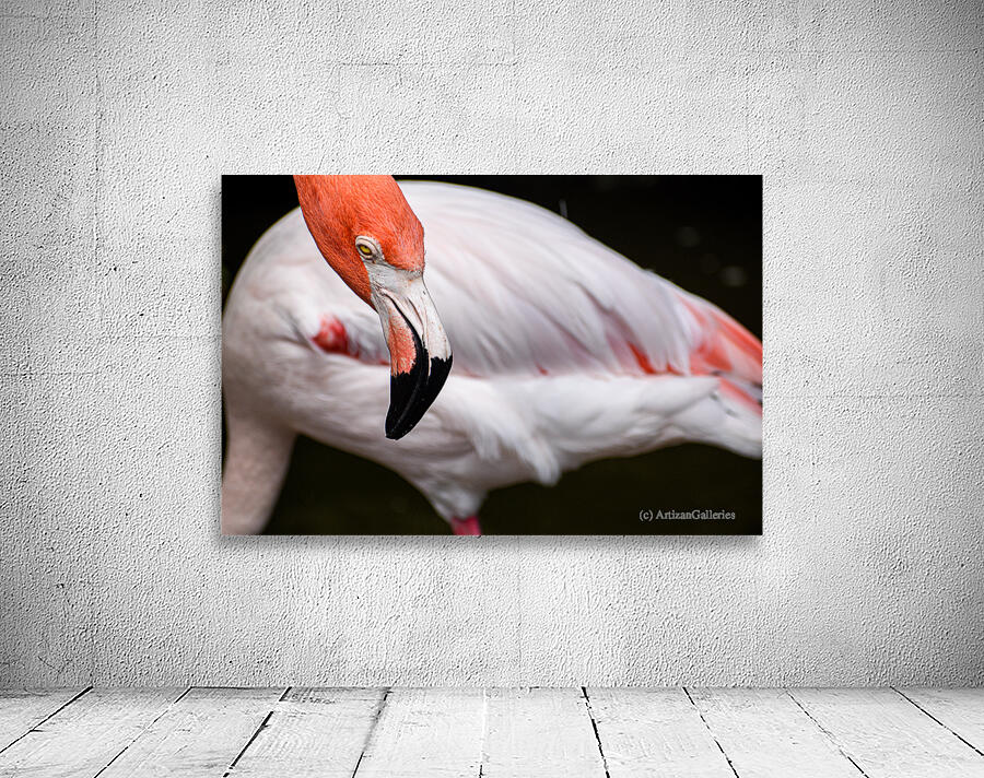 Flamingo 105 Wall Preview