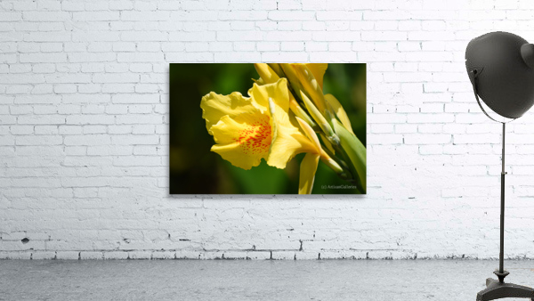 Flower 103 Wall Preview