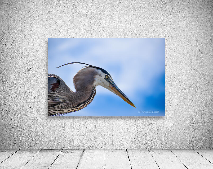 Grey Heron 103 Wall Preview