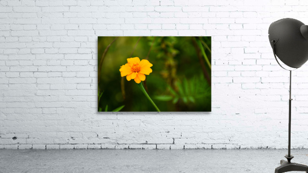 Flower 105 Wall Preview