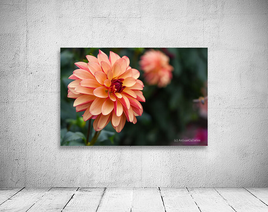 Flower 107 Wall Preview