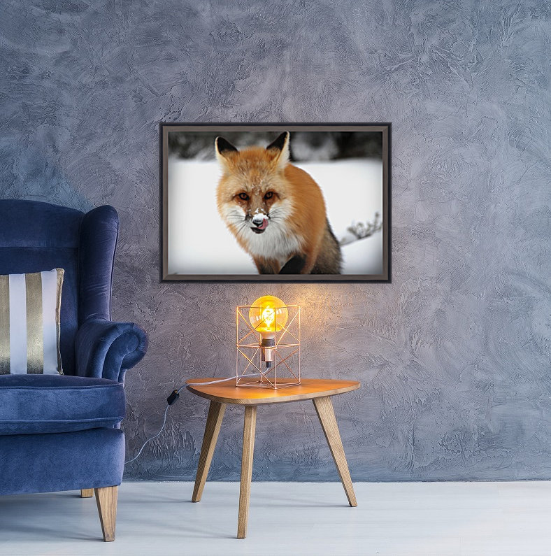 fox Reproduction