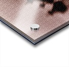 CONCORDE TEXTURED Acrylic print