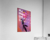 LAFAYETTE PINK Acrylic Print