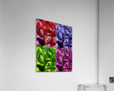 PSYCHEDELIC ROSES  Acrylic Print