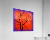 CENTRAL TREE VIGNETTE Acrylic Print