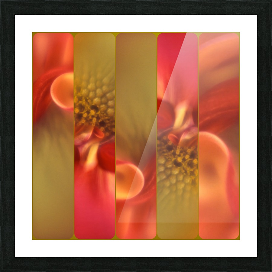 FRAGMENTED FLEURS Picture Frame print