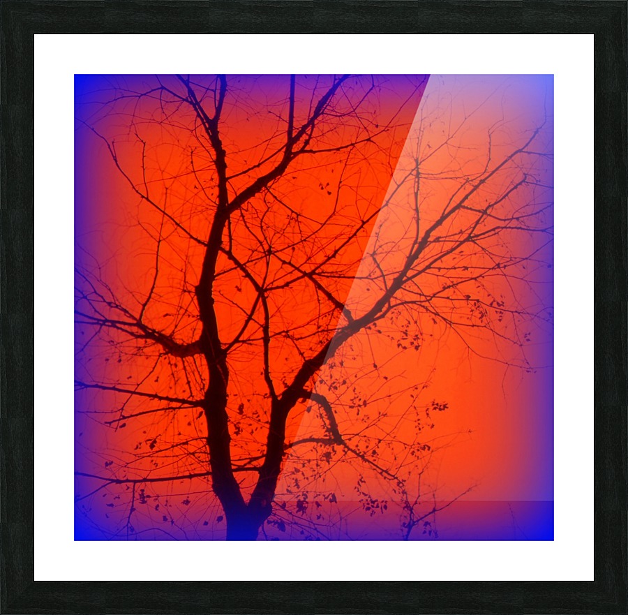 CENTRAL TREE VIGNETTE Picture Frame print
