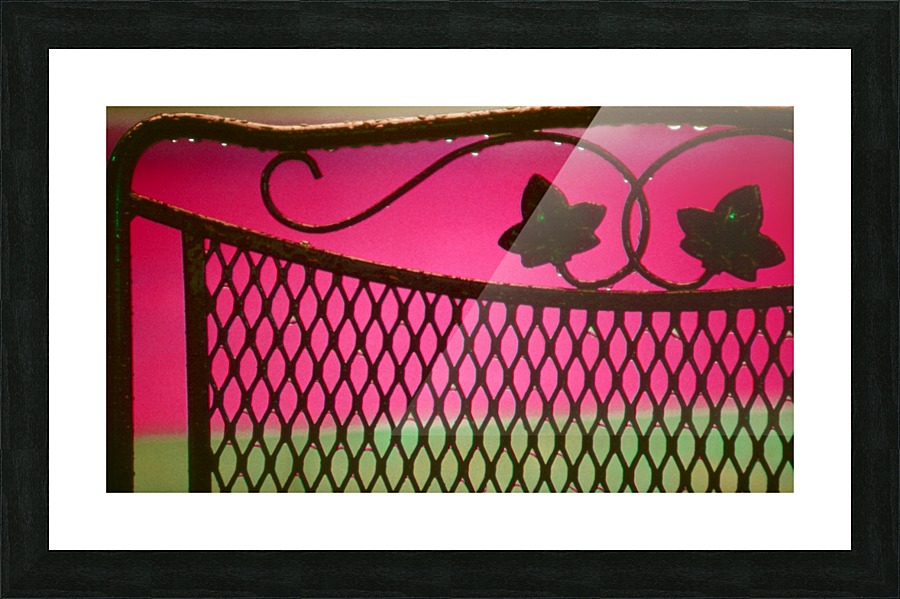 PINK  WROUGHT Picture Frame print