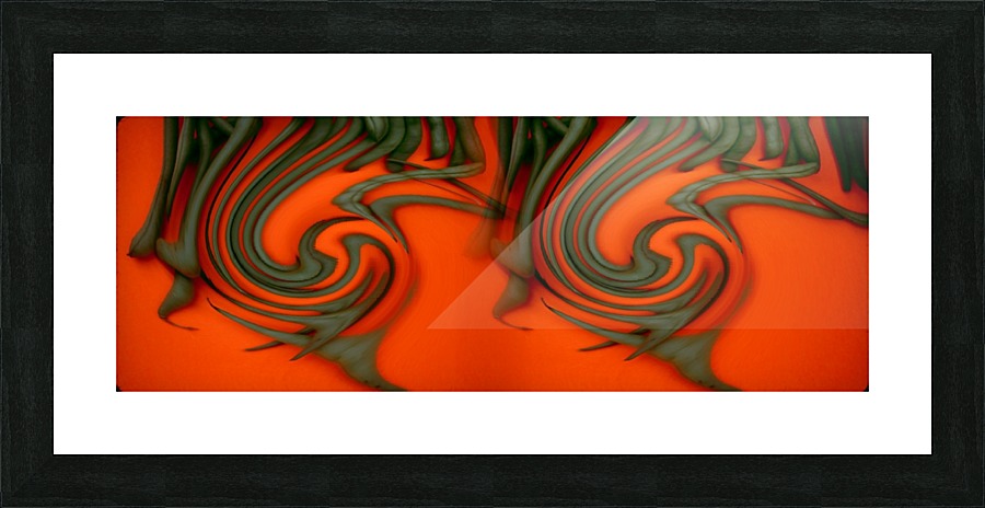 ABSTRACT VEGANS Picture Frame print