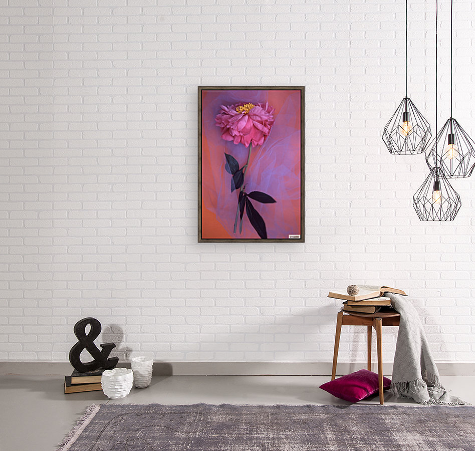 LAFAYETTE PINK Reproduction