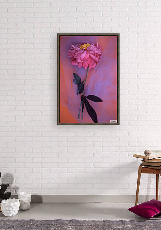 LAFAYETTE PINK Reproduction