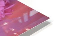 LAFAYETTE PINK HD Metal print