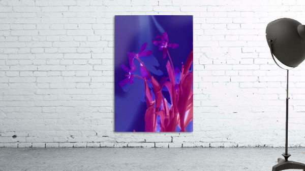 REVERSE TULIPS Wall Preview