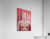 Venus Acrylic Print
