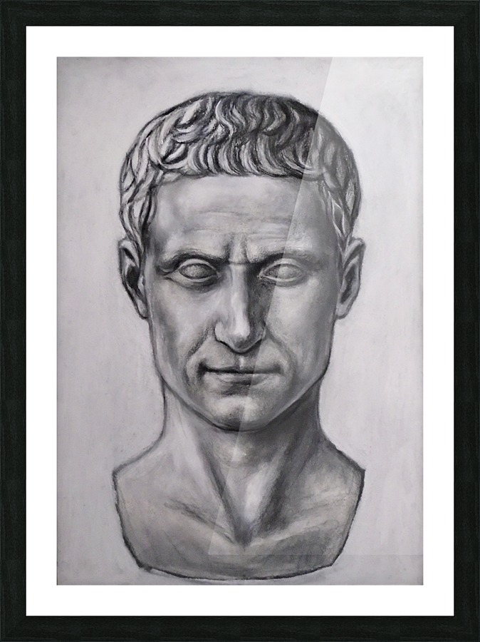 The Emperor Picture Frame print