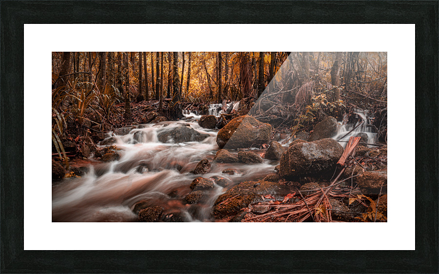 Harmony Picture Frame print