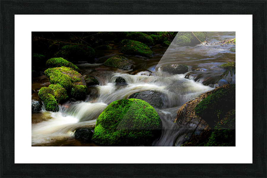 stream dreams Picture Frame print