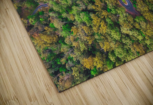 The Hairpin AureShots puzzle