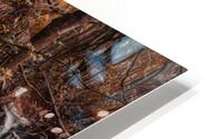 Harmony HD Metal print