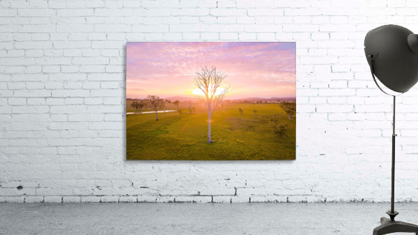 Fire in the Sky Wall Preview