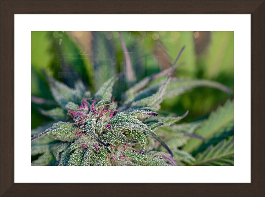Outdoor Nuken Picture Frame Printing