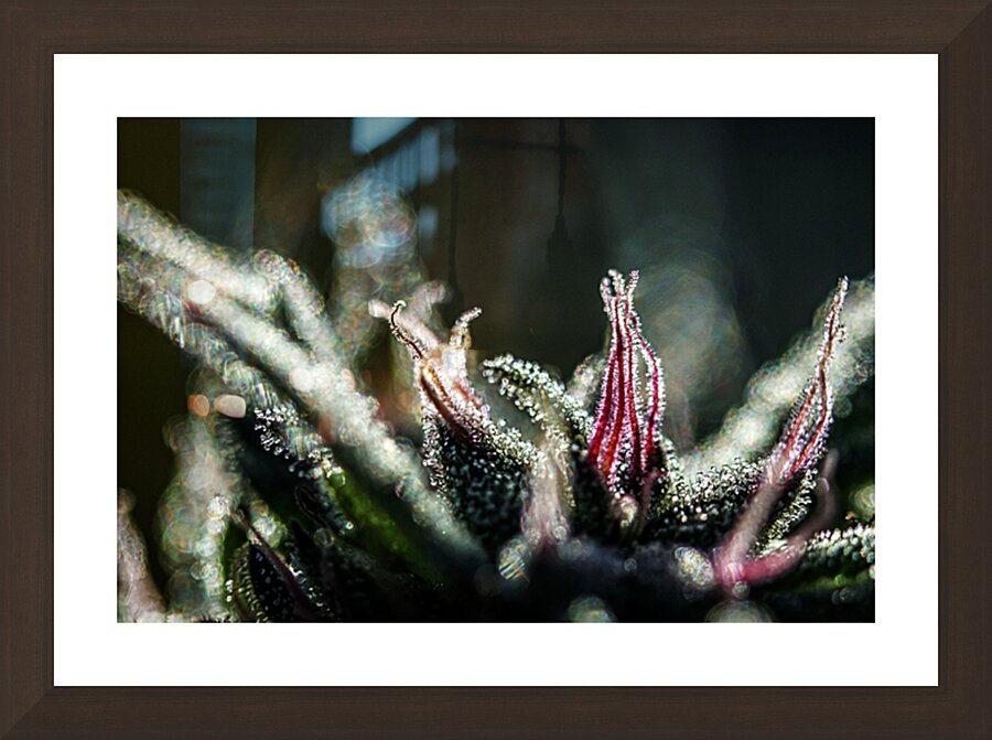 Glittering Nuken Picture Frame Printing