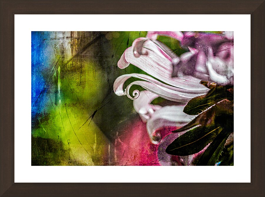 Grunge Floral Picture Frame Printing
