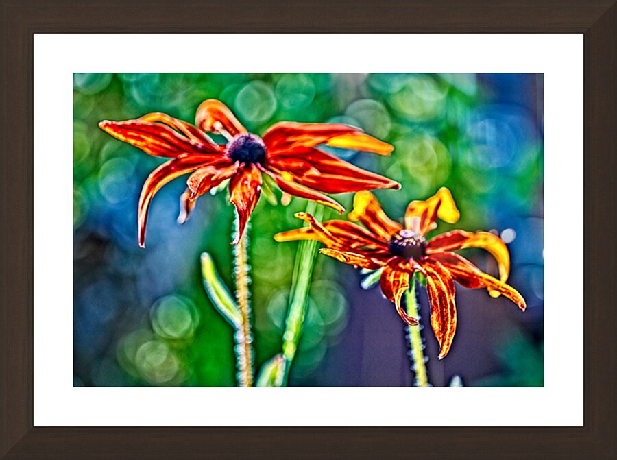 Floral Connection Picture Frame Printing
