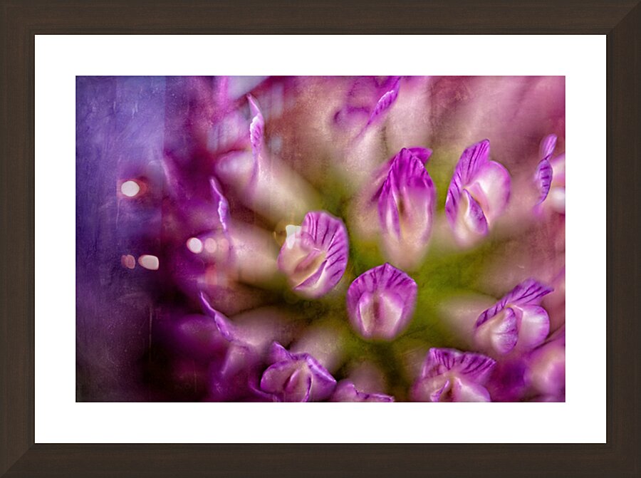 Painterly Purple Clover Picture Frame Printing