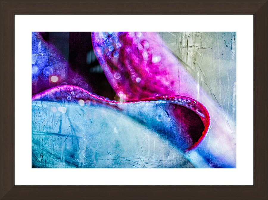 Abstracted Calla Lilly Picture Frame Printing