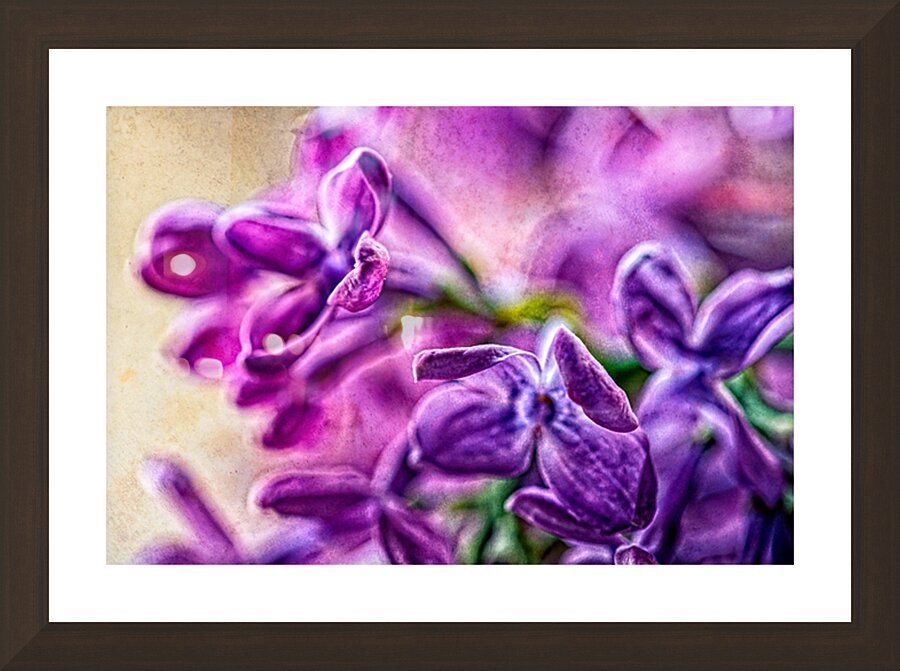 Painterly Purple Lilac  Picture Frame Printing