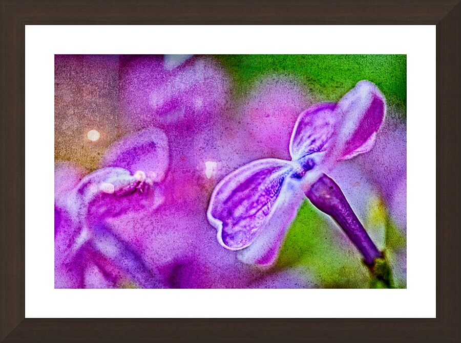 Lilac layered Picture Frame Printing