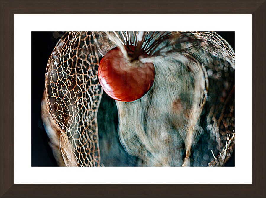 Lantern Seed revealed Print Picture Frame Printing