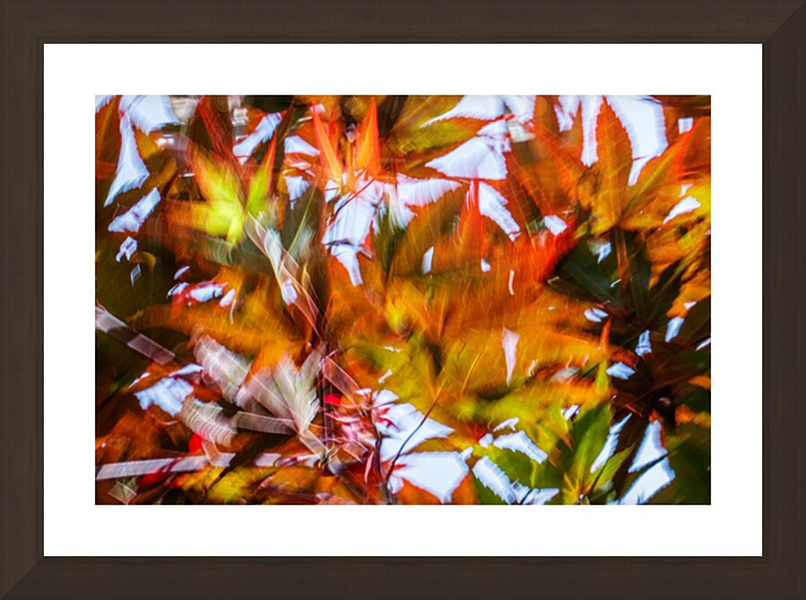 Kinetic Maple Abstract Picture Frame Printing