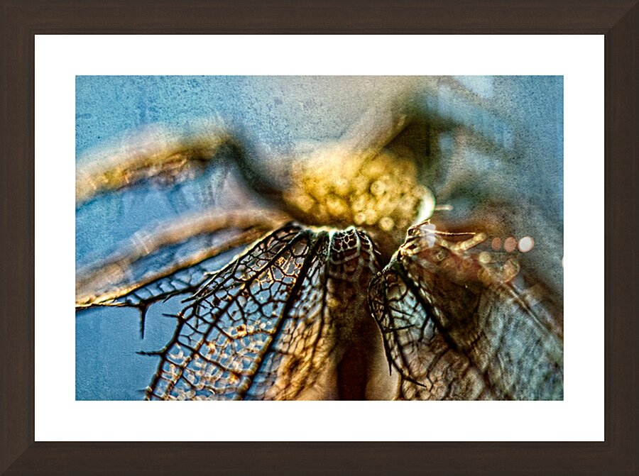 Painterly Flower remnant  Picture Frame Printing