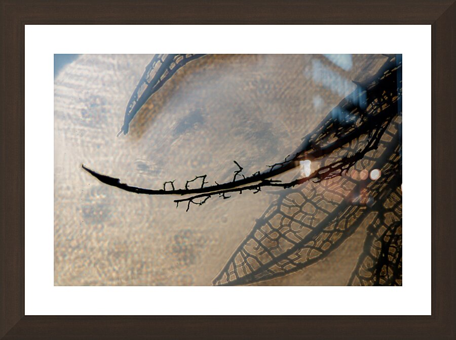 Floral abstract Picture Frame Printing