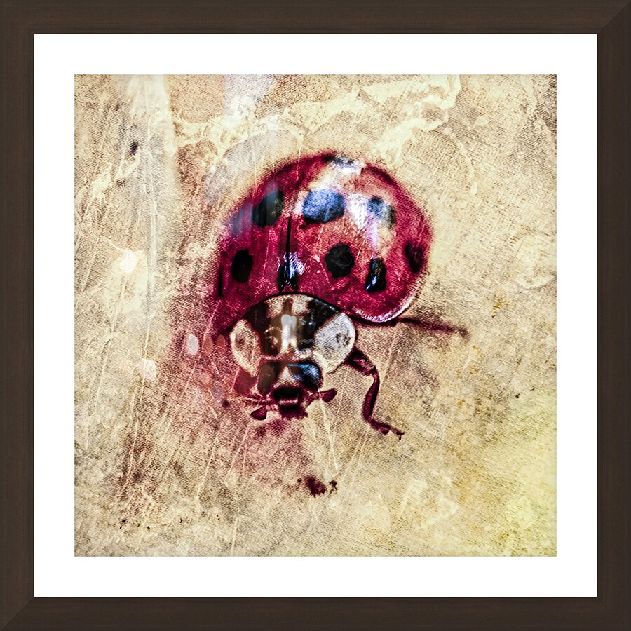 Painterly Lady Bug Picture Frame Printing