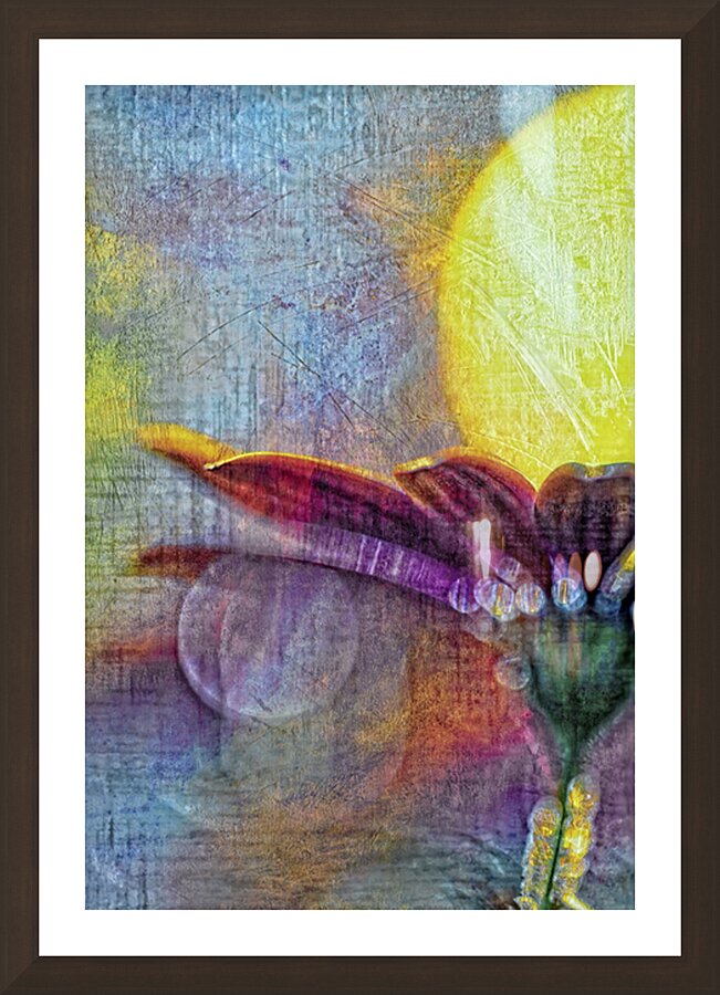 Distressed Daisy In Blue. Picture Frame Printing