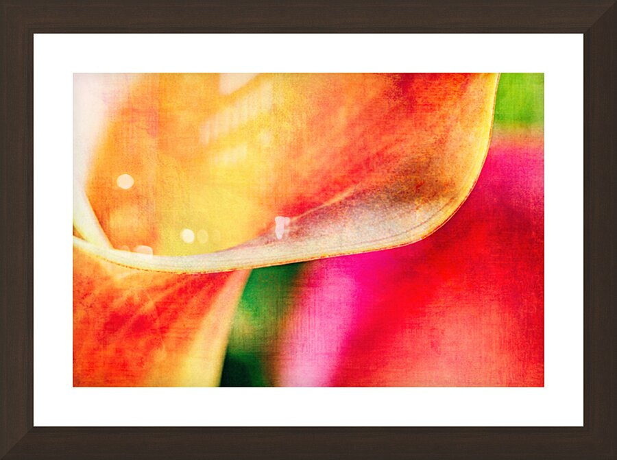 Calla Lily Symphony Picture Frame Printing