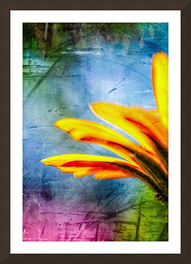 Orange petal abstract Picture Frame Printing