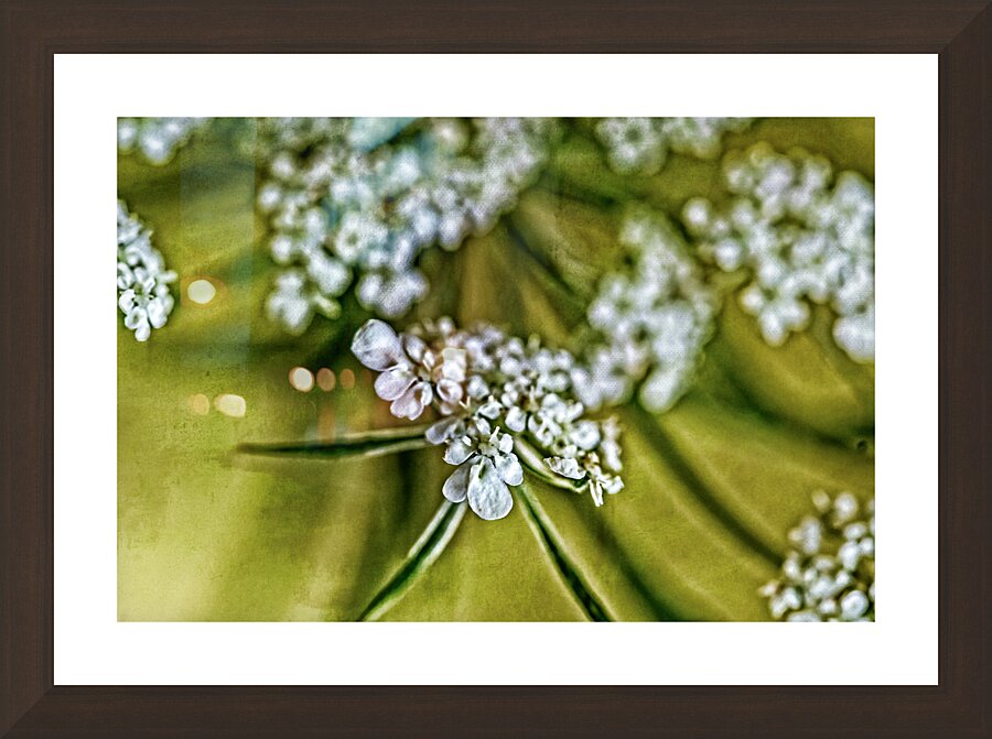 Close up with Anne Picture Frame Printing