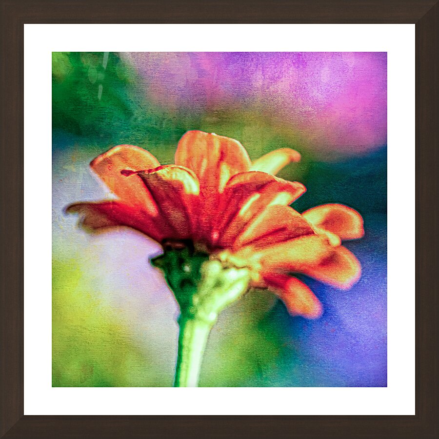 Orange flower  Picture Frame Printing