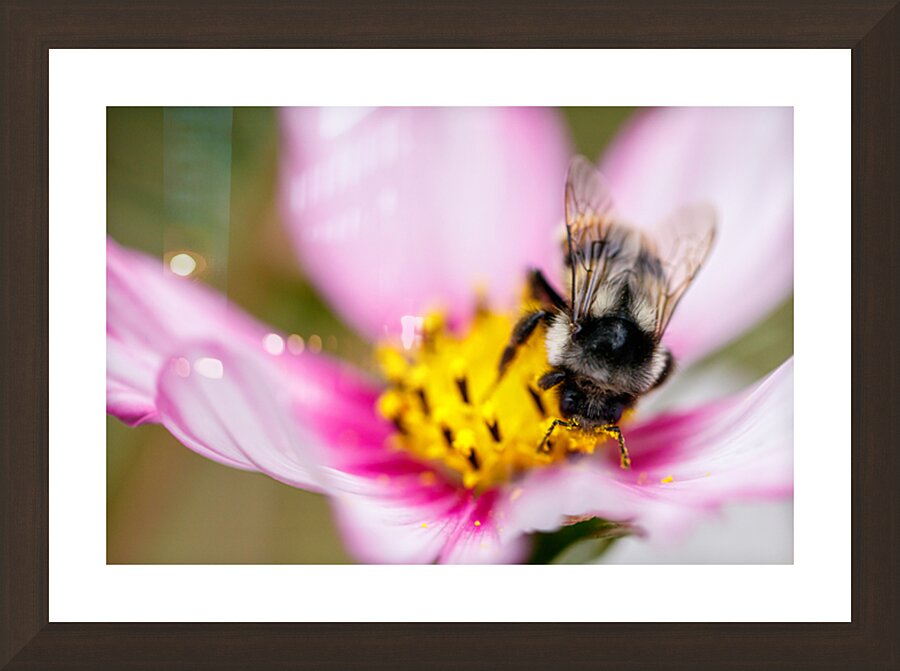 Harmony in Bloom Picture Frame Printing