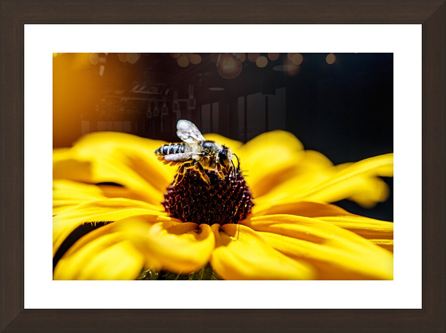 Blossoms Guest Picture Frame Printing