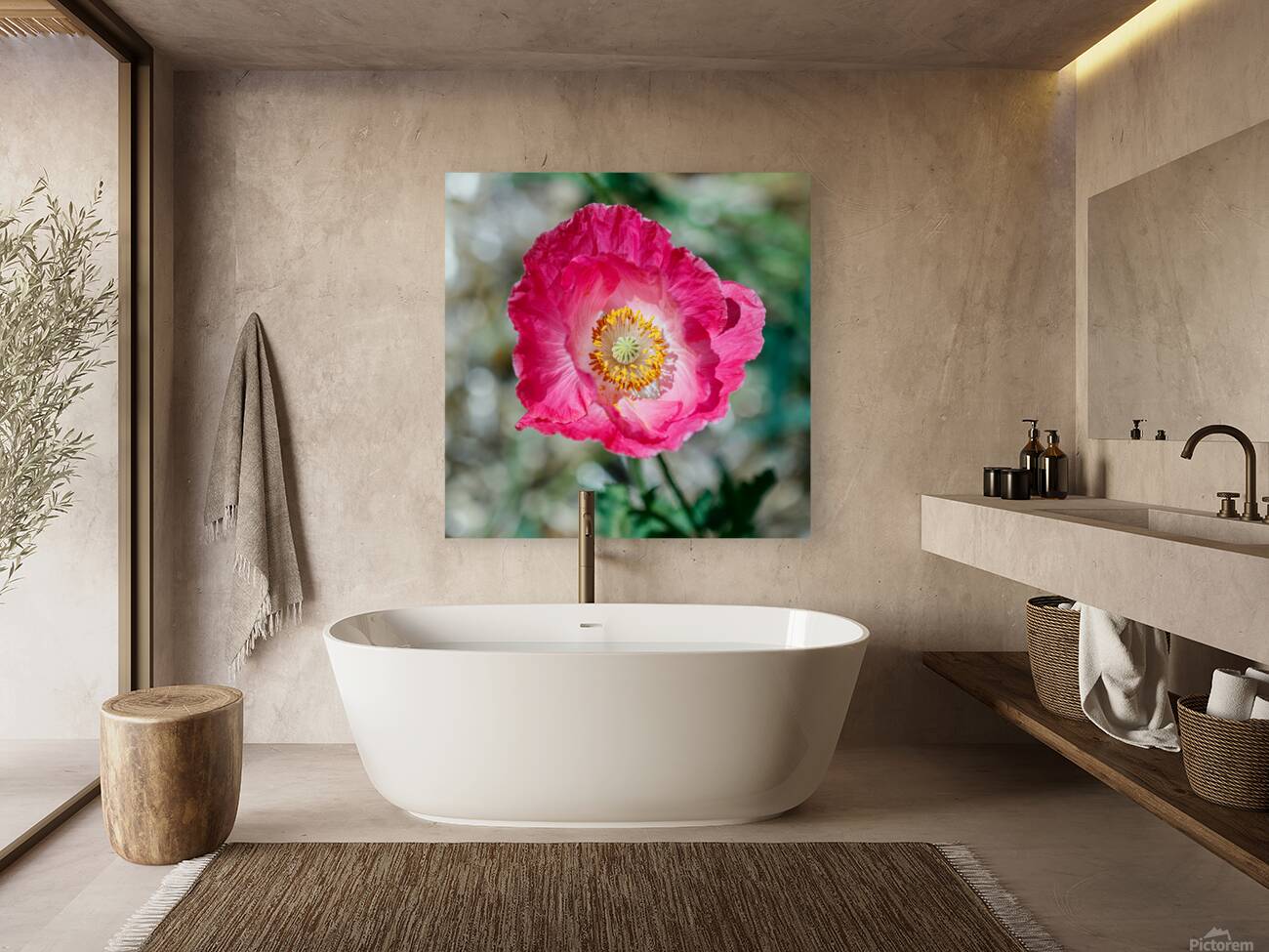 Solitary Beauty: Single Poppy Studies Reproduction